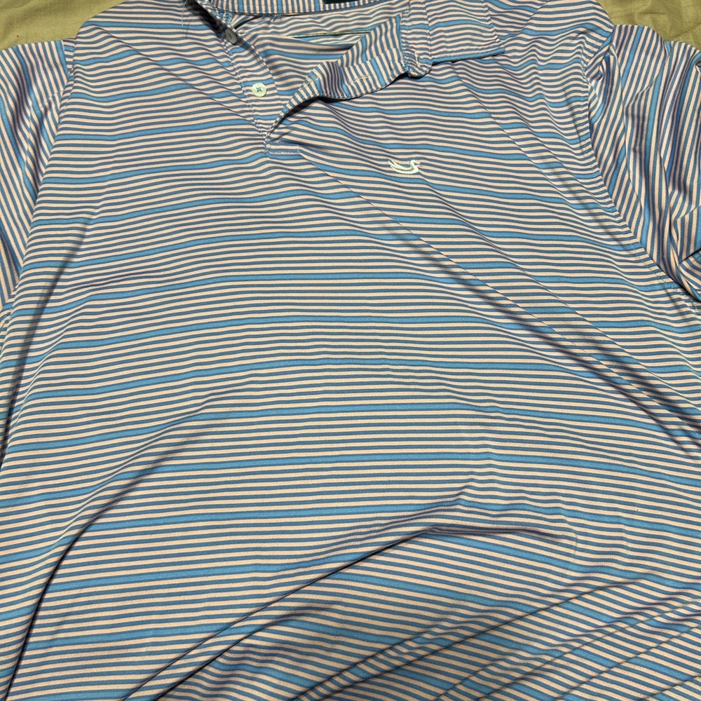Southern Marsh Polo